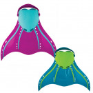 Monopalme Aquarius
